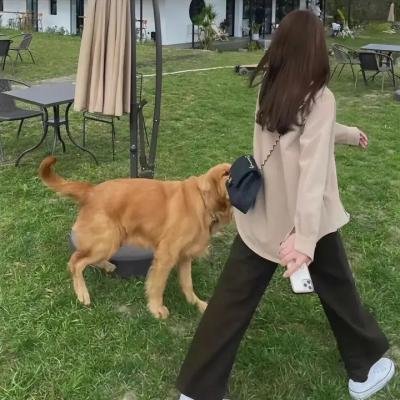 我的家庭真美满